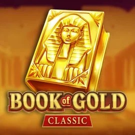 game logo by Playson on wintinoo.fi