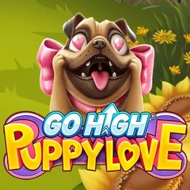 game logo by RubyPlay on wintinoo.fi